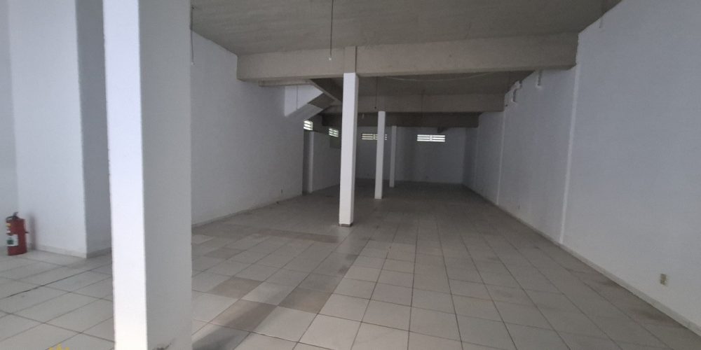 20250321-1146-67dd7bd0ef4c1