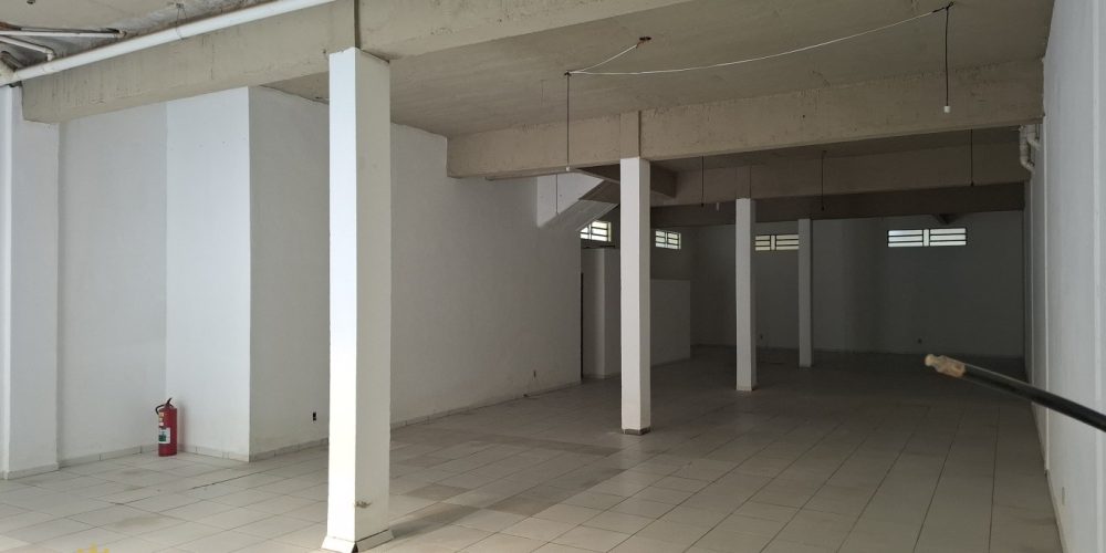 20250321-1146-67dd7bd477a36