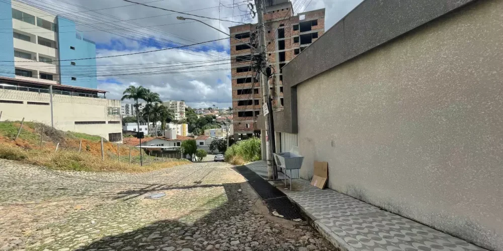 258y-img-1810-1775055428