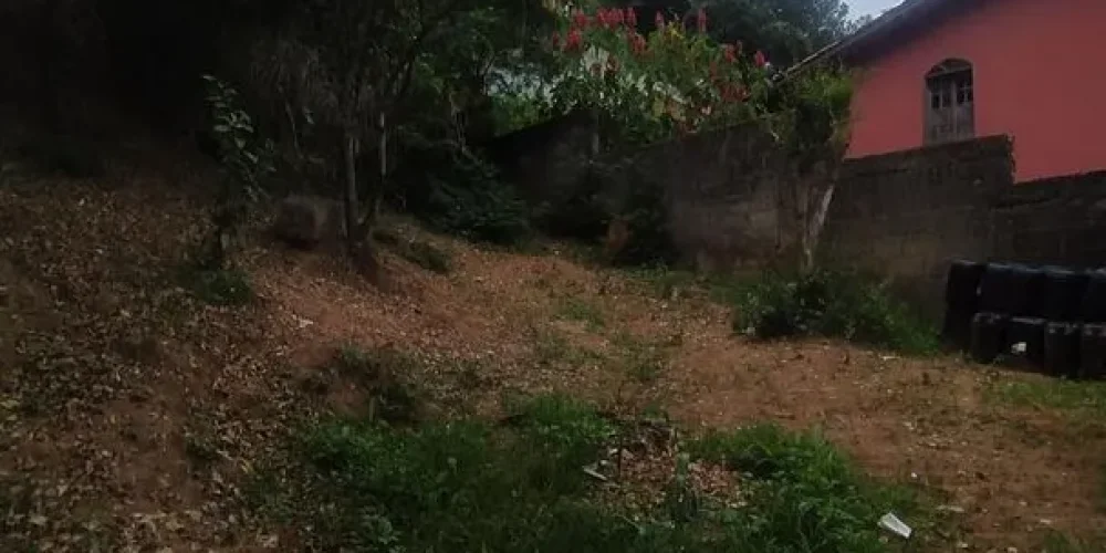 img20230915081717jpg