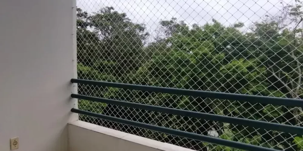 img20250114090223jpg